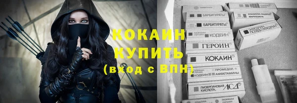 индика Баксан