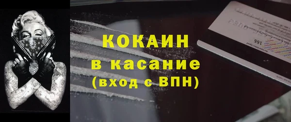 индика Баксан