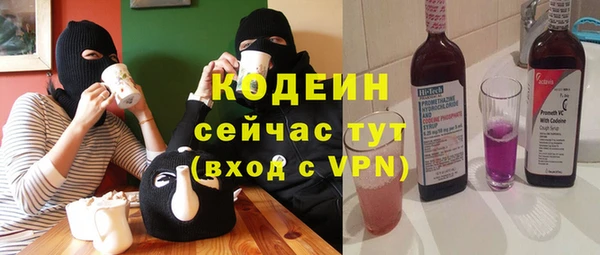 индика Баксан